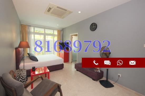 Treasure Gardens (D19), Apartment #157279332